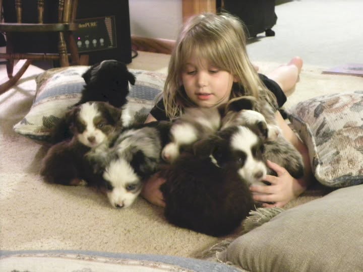 About zoe+puppies